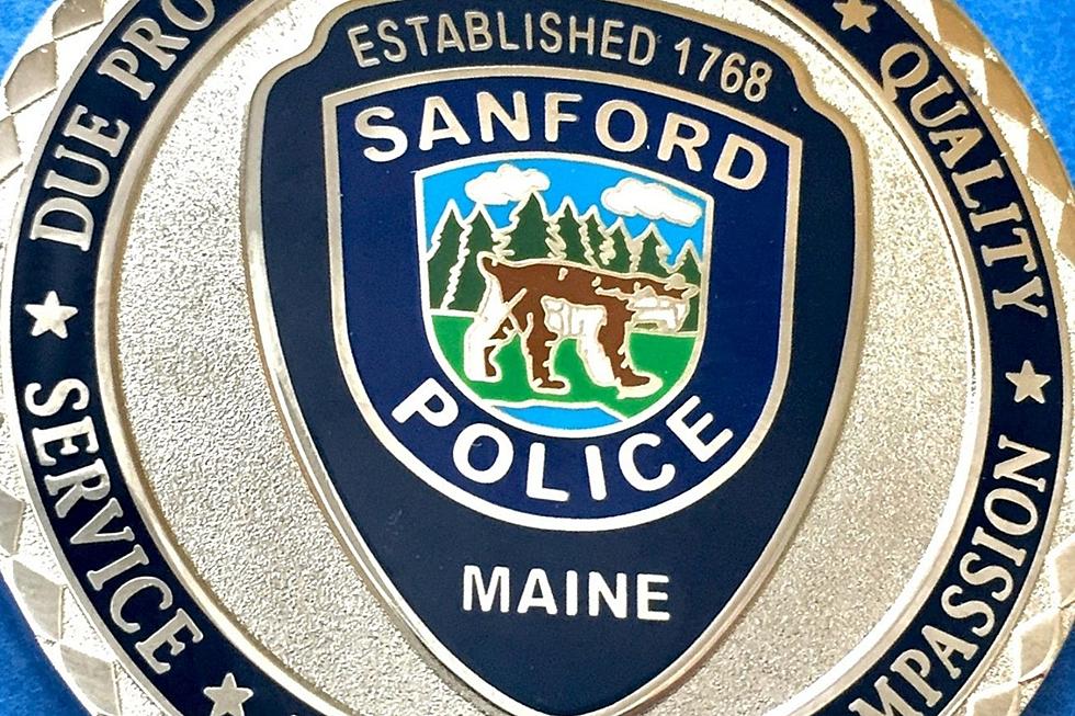 15 Reasons Why People Called The Sanford, Maine Police Department in 2021