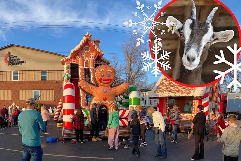 Petting Zoo, Fire Dancing, and More at Westbrook Winterfest