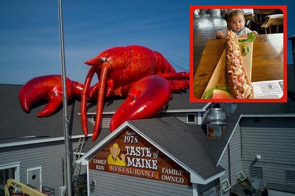 Take On The World’s Largest Lobster Roll at Taste of Maine’s Reopening This Month
