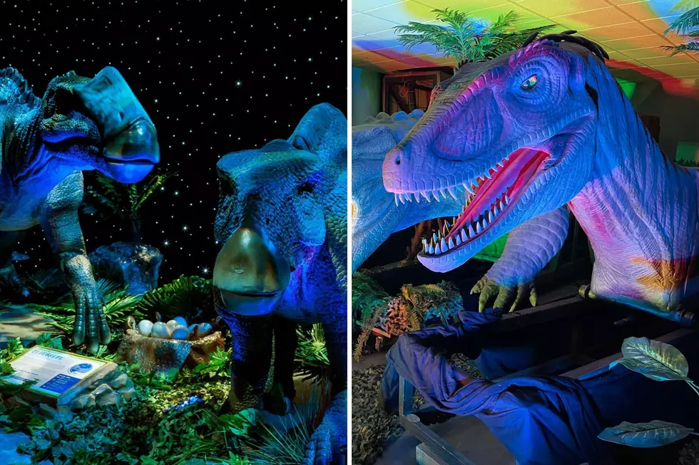 Road Trip Worthy: Still Time to Meet Over 20 Life-Size Dinosaurs at the Dino Safari in Boston