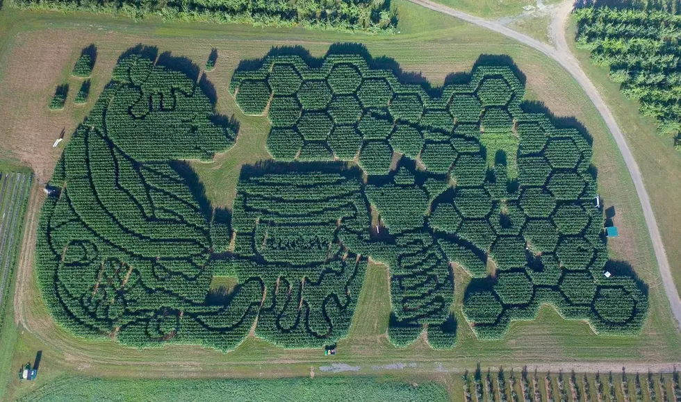 The Best Corn Maze in the Country is in Maine