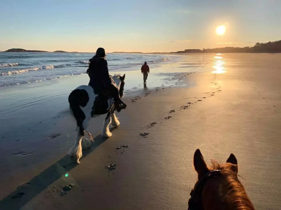 Scenic Views Riding a Horse on Popham Beach Is a Maine Adventure