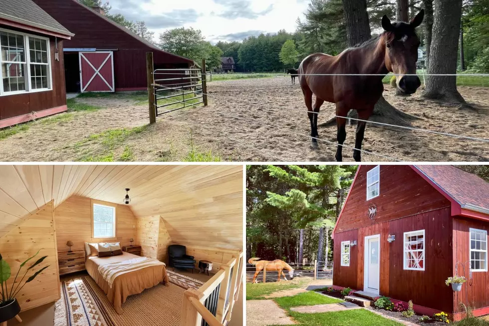 Charming Barnhouse Airbnb on Serene Farmland in Scarborough, Maine Comes With Horses