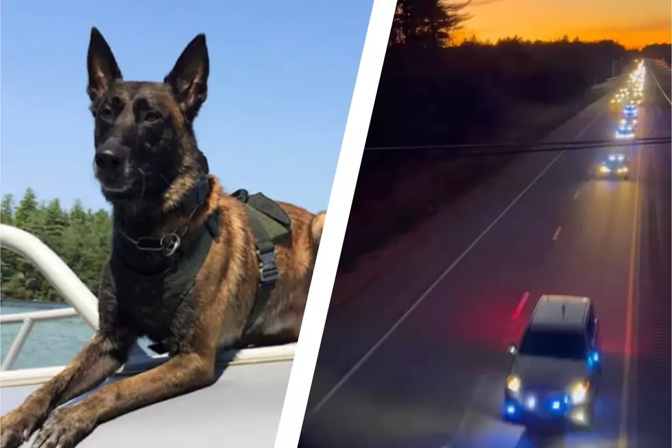 Retired New Hampshire State Police K-9 Dies, Gets One Last Police Ride
