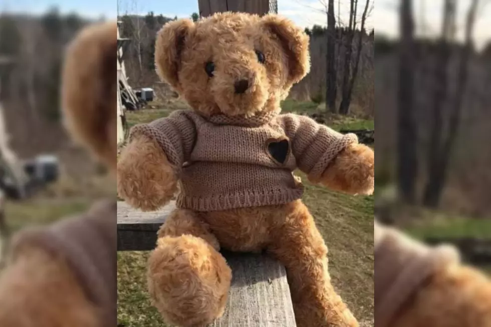 UPDATE: Maine Teddy Bear With Son’s Ashes Has Been Found! Other Items Still Missing