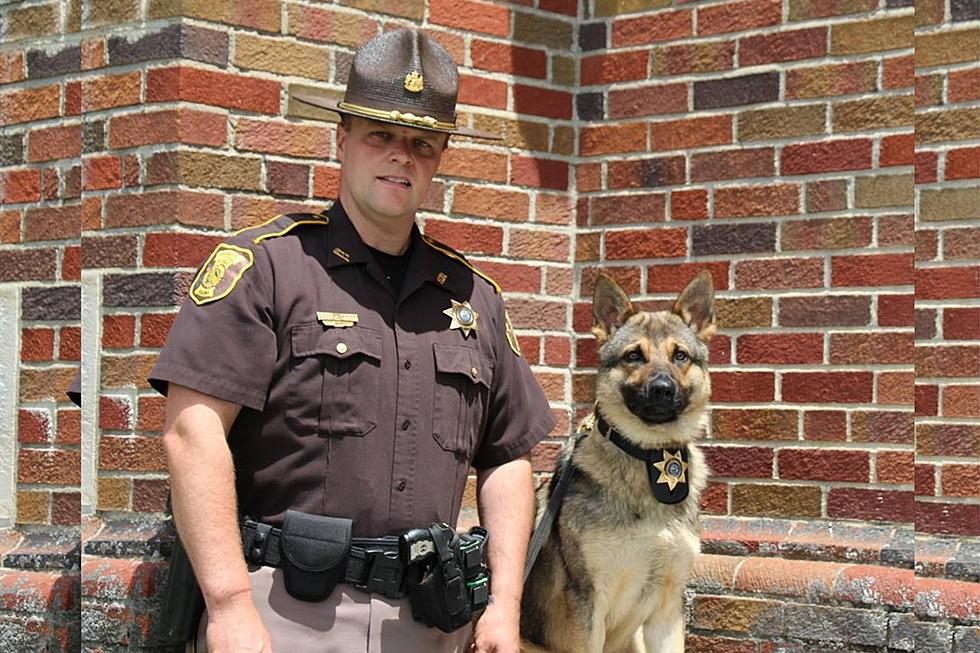 Retired Maine Police Dog That Responded to Hundreds of Calls Dies