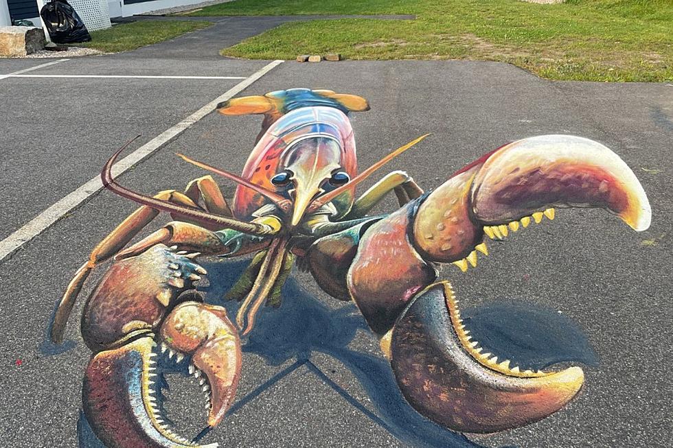 Mind-Blowing Artwork at Kennebunkport, Maine, 'Chalk The Port'