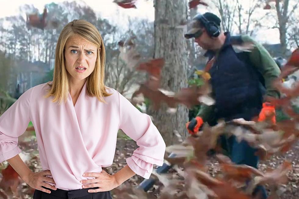 Wait, is Leaf Blower Shaming Actually a Thing in Maine?