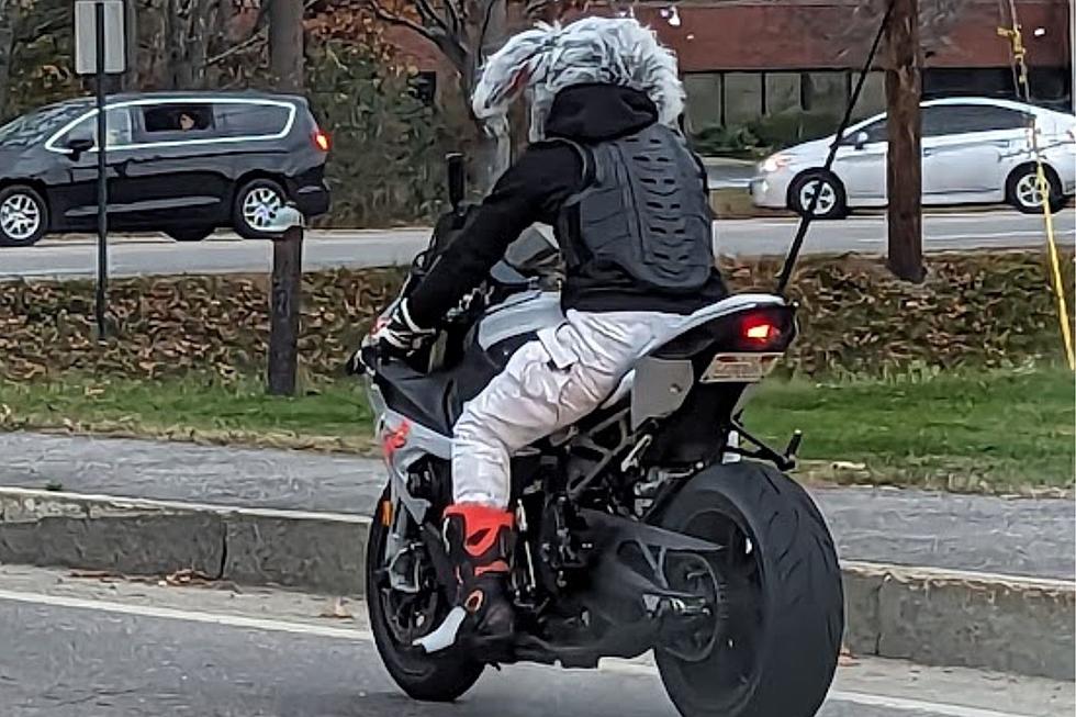 Only in Maine: A Giant Rabbit Riding a Motorcycle in Portland