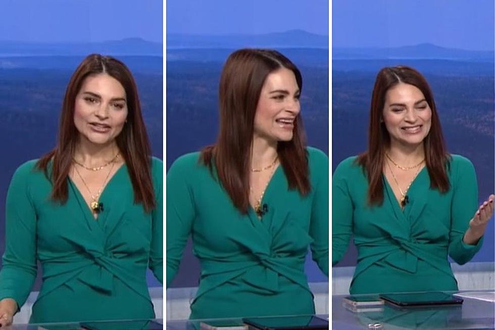 Maine Reporter Starts Live Broadcast With Adorably Hilarious News Blooper