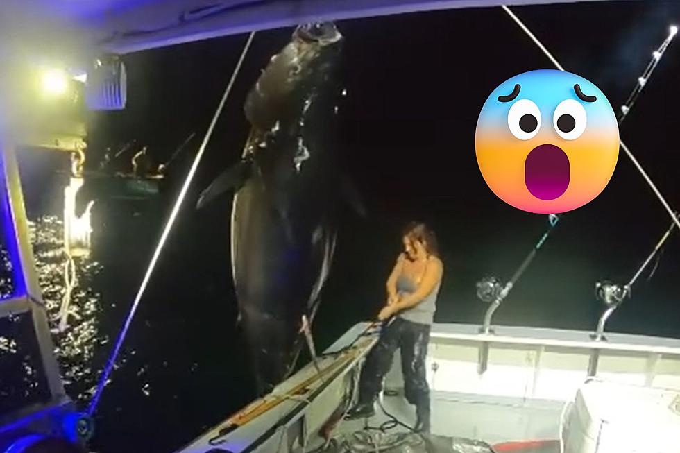 Seabrook, New Hampshire, Captain Relives Moment That Landed Her on &#8216;Wicked Tuna&#8217;