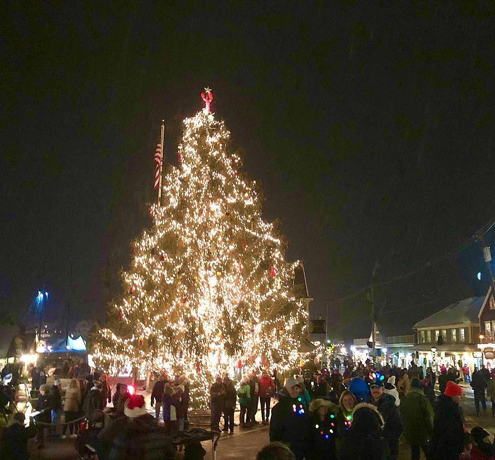 Magical Tree Lighting in This Maine Christmas Town