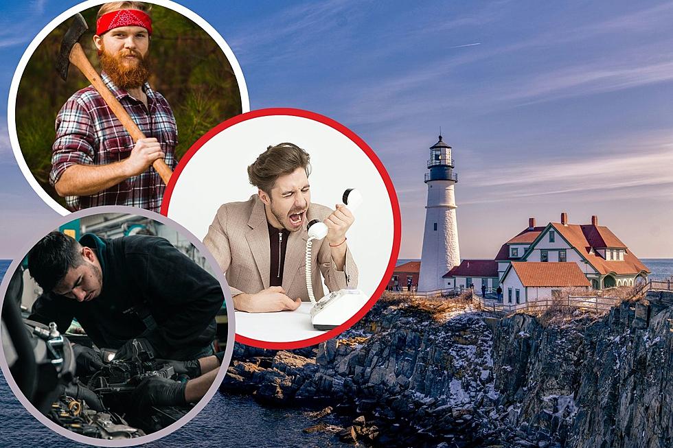 Here Are 10 Types of Mainers You May Encounter