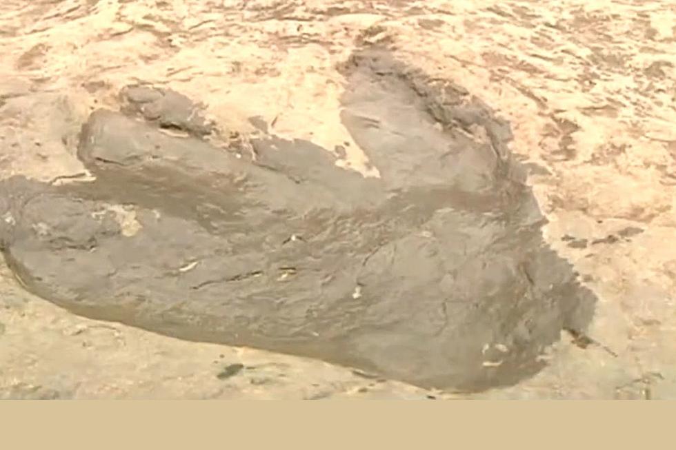 Visit 200-Million-Year-Old Dinosaur Footprints in Massachusetts