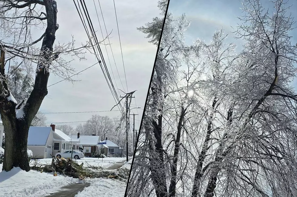 6 Takeaways From My First-Ever Maine Ice Storm Experience