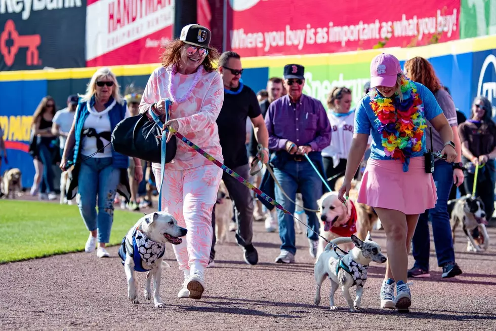 Here’s When You Can Take Your Dogs to a Portland, Maine, Sea Dogs Baseball Game