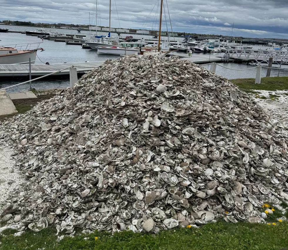 What's Up With the Giant Mound of Shells in Portland, Maine?
