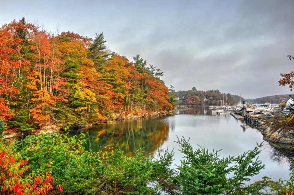 Mainers Share 20 Things That Make Maine the Best State in the US