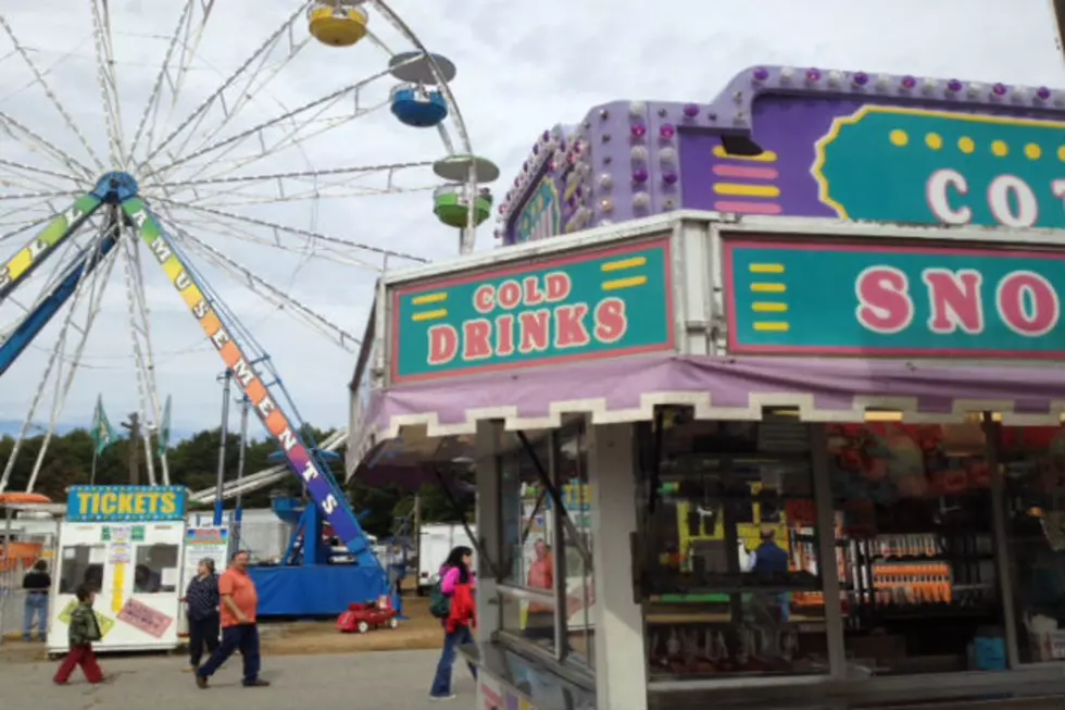 My Visit to the Deerfield Fair [VIDEO]