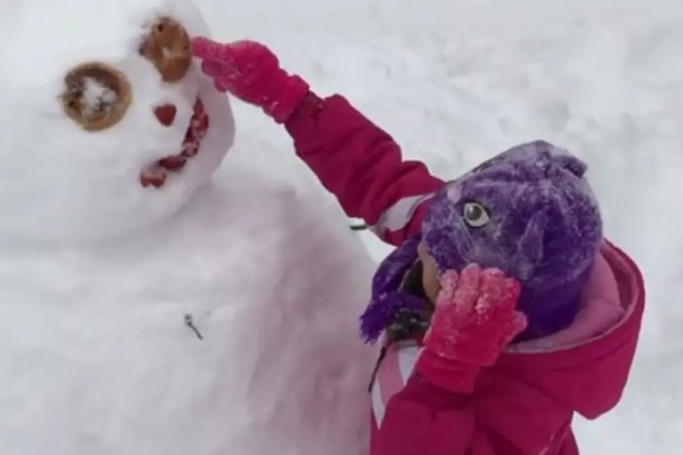 Do You Wanna’ Build a Snow Man? NO!!! [VIDEO]