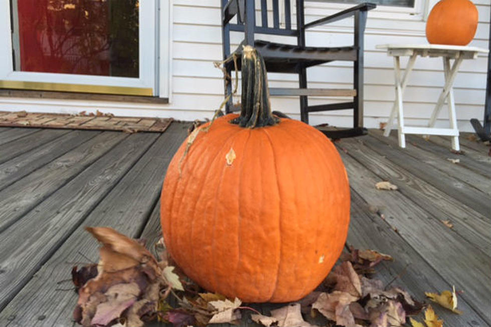 What to do With Those Uncarved Pumpkins!