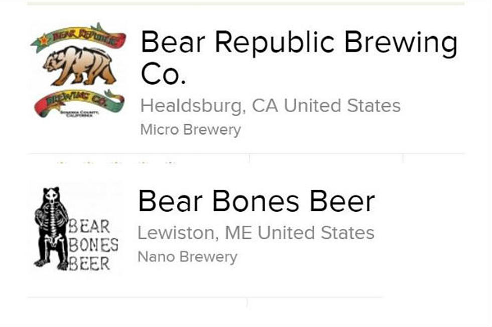 Portland on Tap Head to Head, Bear Beers! Get Your Tix Here!