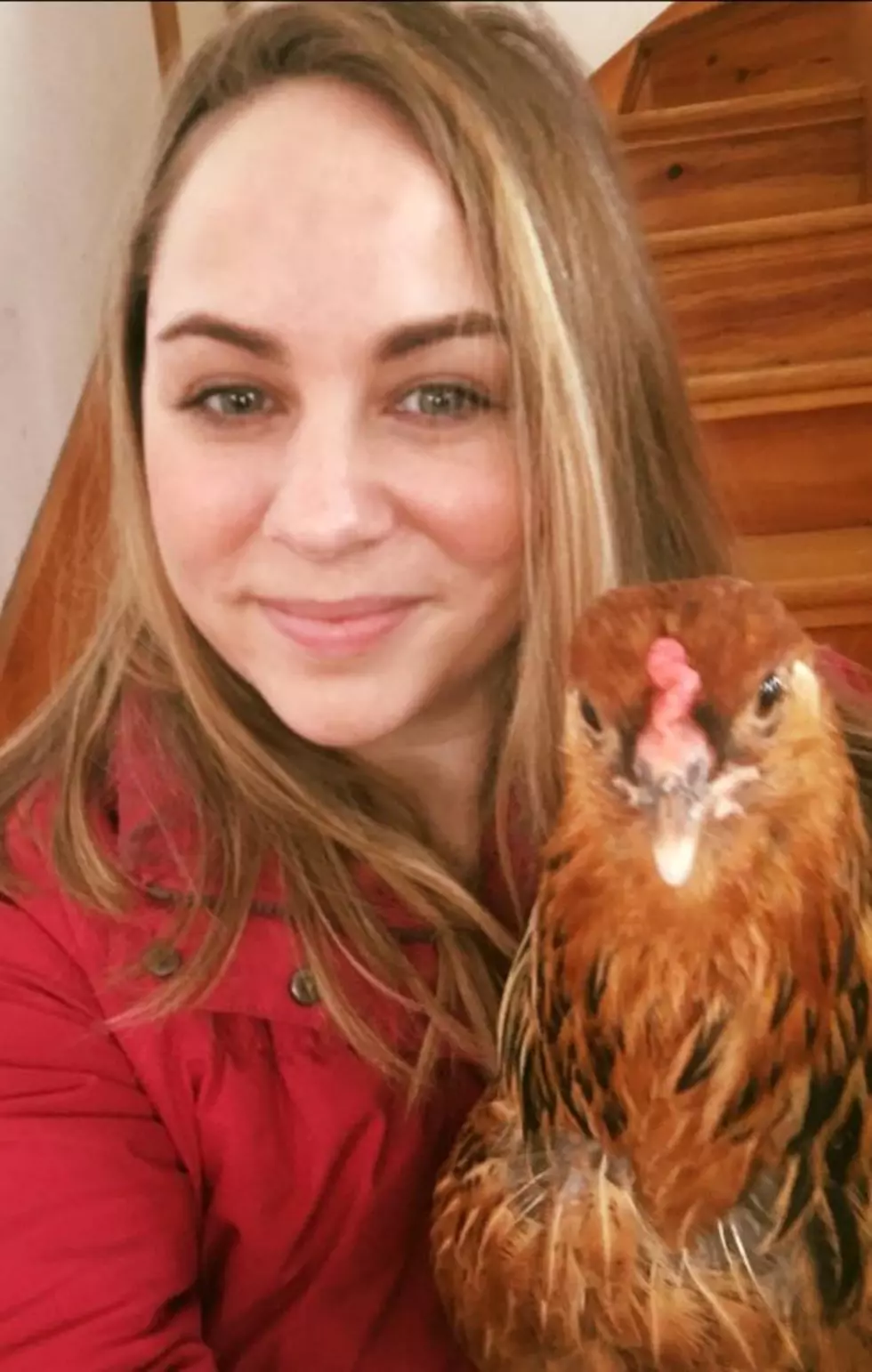 WATCH: NE Chicken Wants to Braap, Braap!