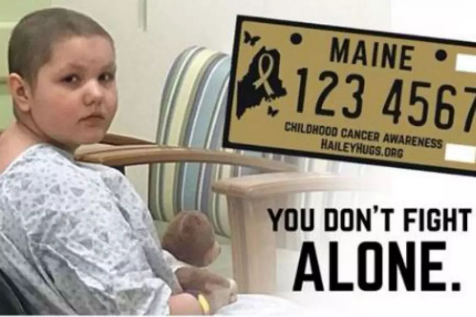 A New License Plate Would Support The Maine Children’s Cancer Program