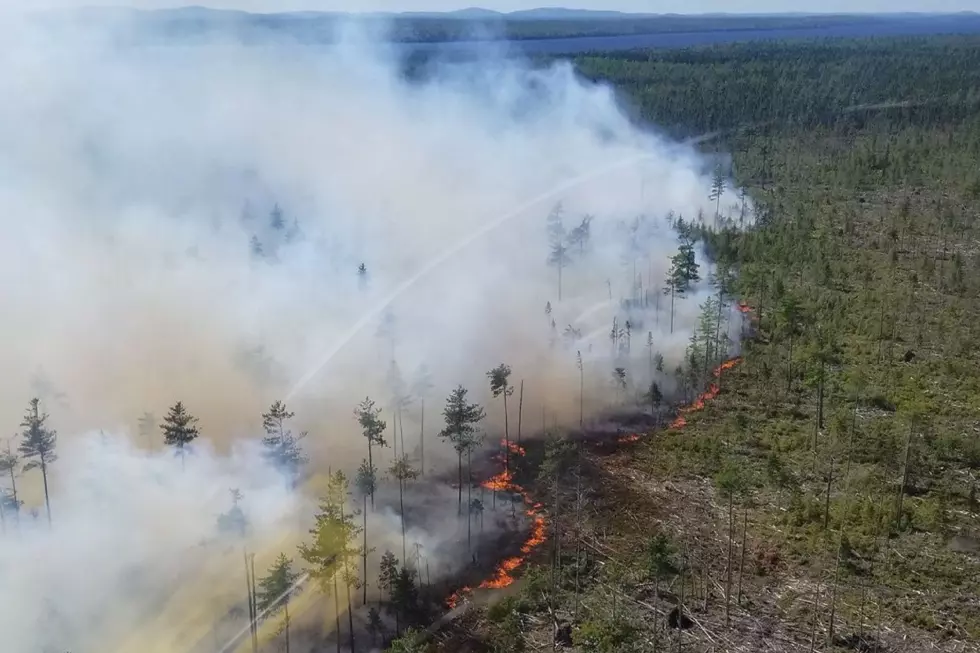 WATCH: Maine Forest Rangers at Work on Fire Up North