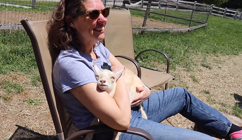 Cuddling Maine Baby Goats Really Is The Best