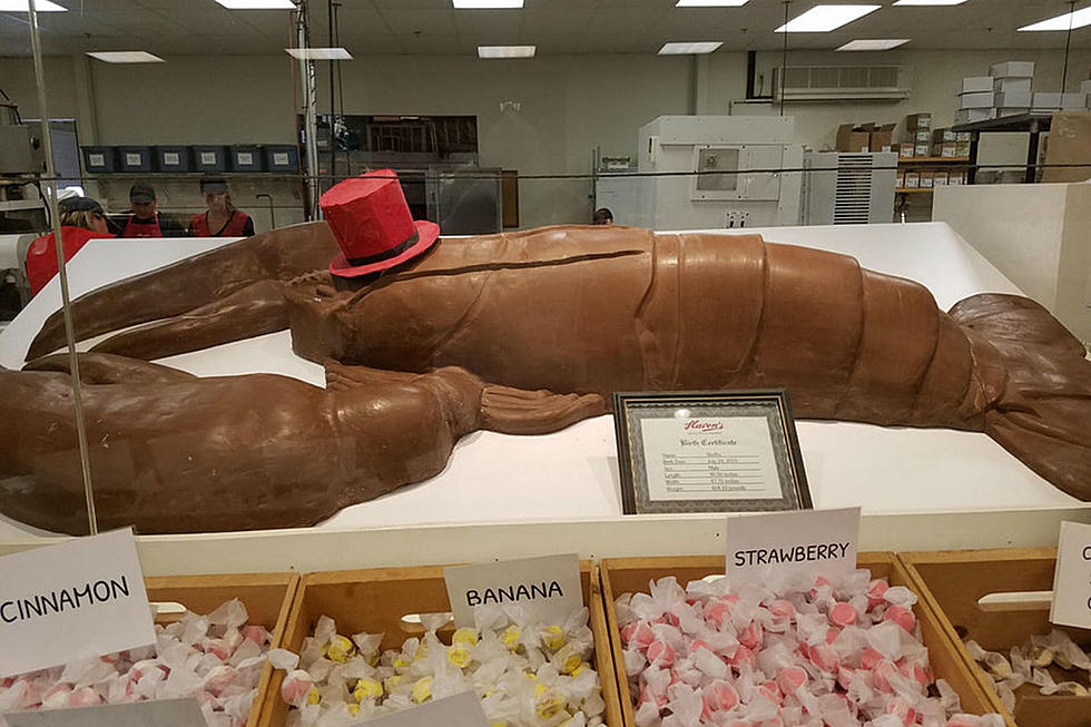 There&#8217;s A 400-Pound Lobster In Westbrook And It&#8217;s Made Of Chocolate