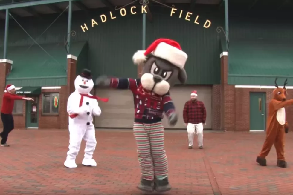 Watch Slugger’s Wicked Awesome Holiday at Hadlock Video