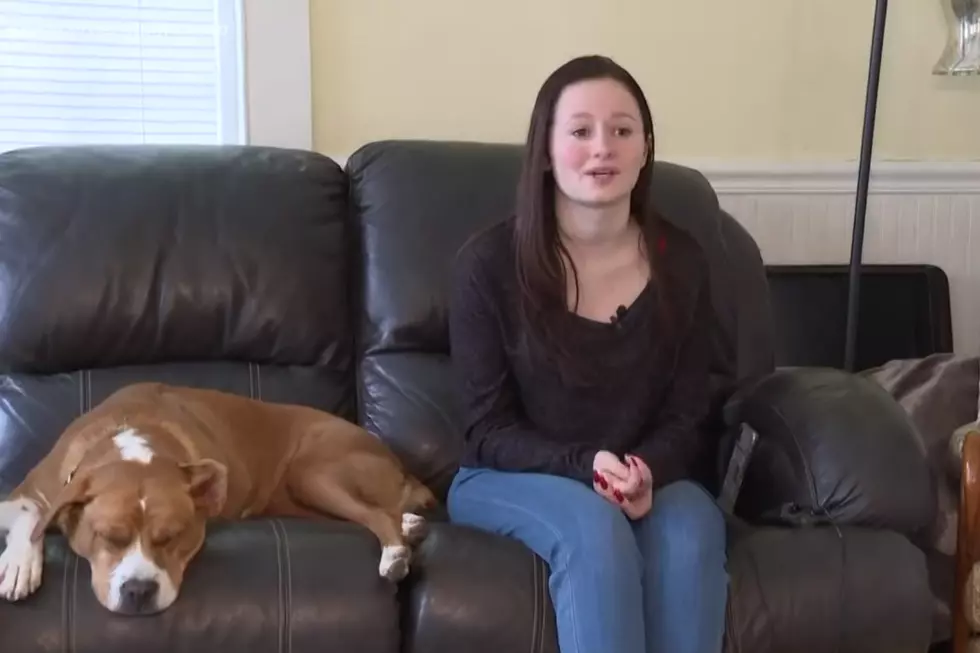 Heartwarming: Allergic Maine Teen Finds New Freedom With Service Dog