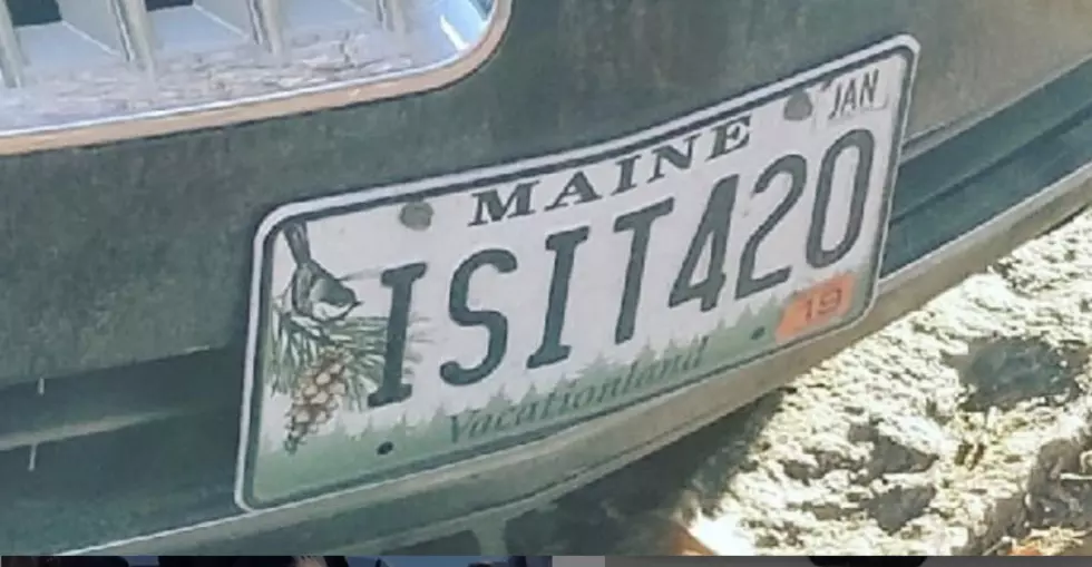 Here Are This Week’s  “Bumper Crop” of Awesome Maine Vanity License Plates