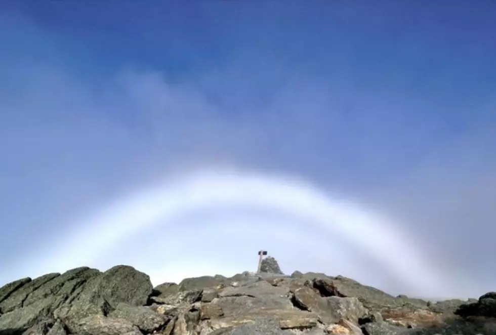 Have You Ever Seen a Fogbow?