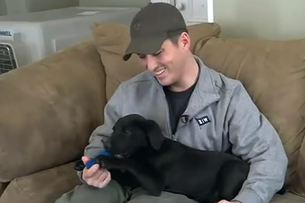WATCH: Heartwarming Story Of Deaf Dog Adopted In Maine