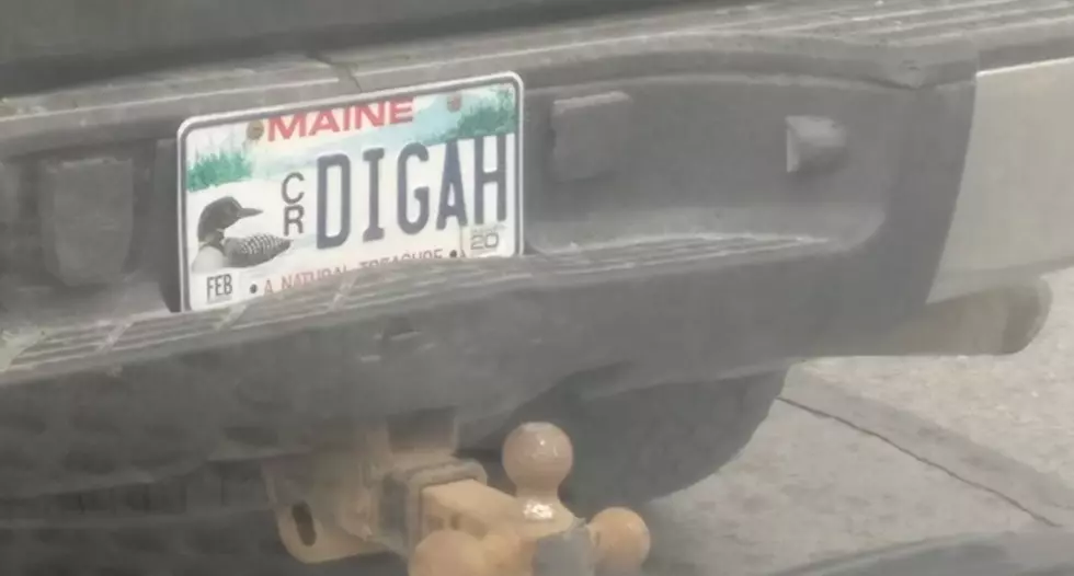 This Week’s Batch of Maine Vanity Plates Are So Wrong But So Right
