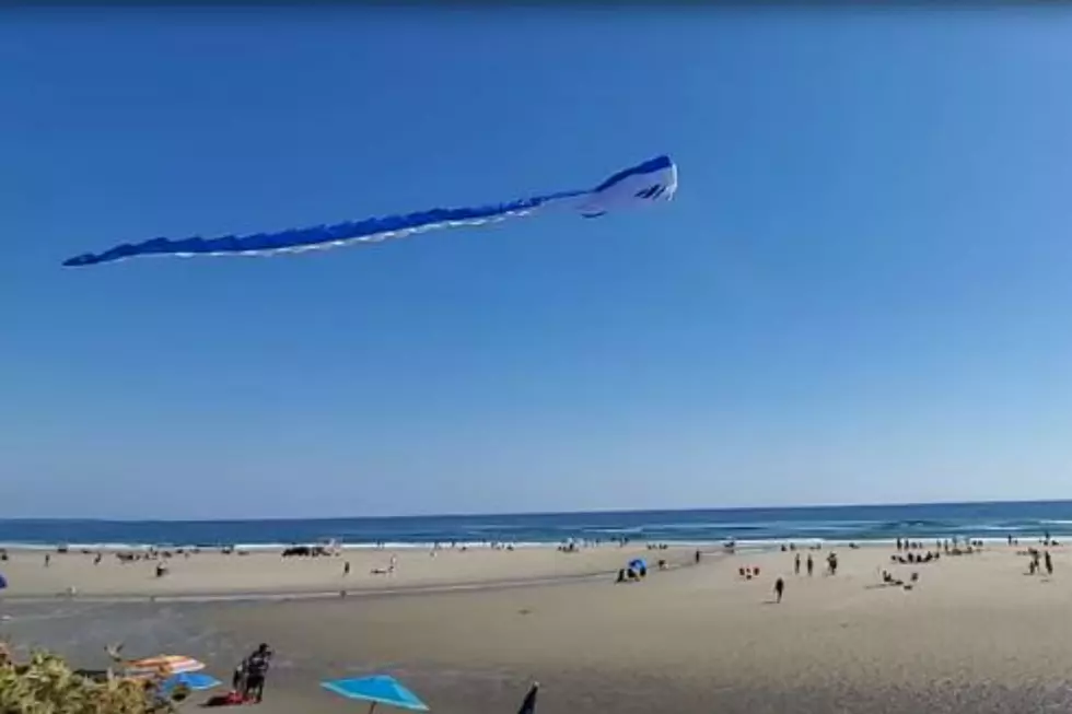 Beautiful Kite Flies Over Ogunquit Beach [VIDEO]