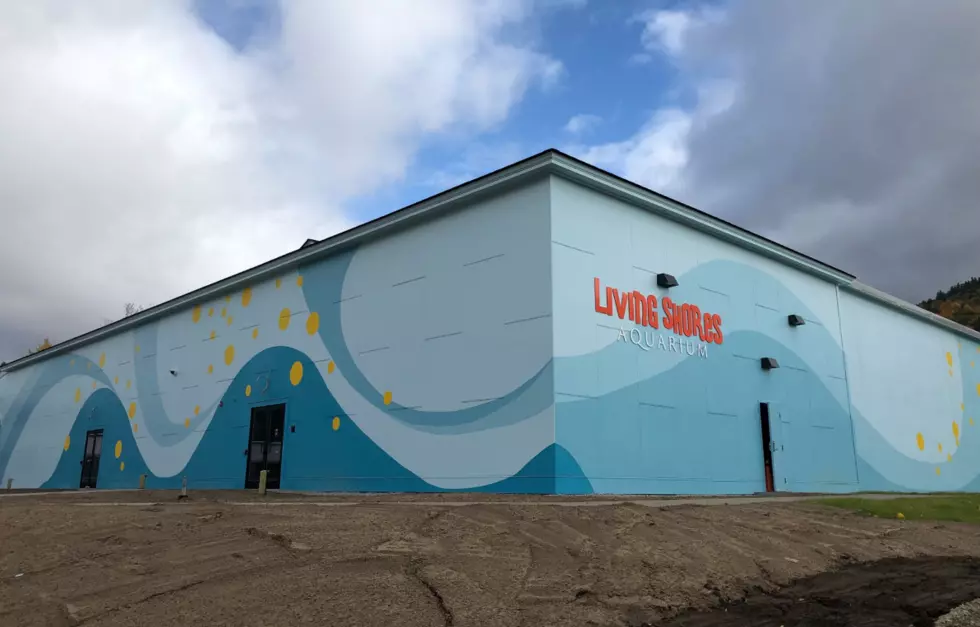 Living Shores Aquarium at Story Land Opens in November