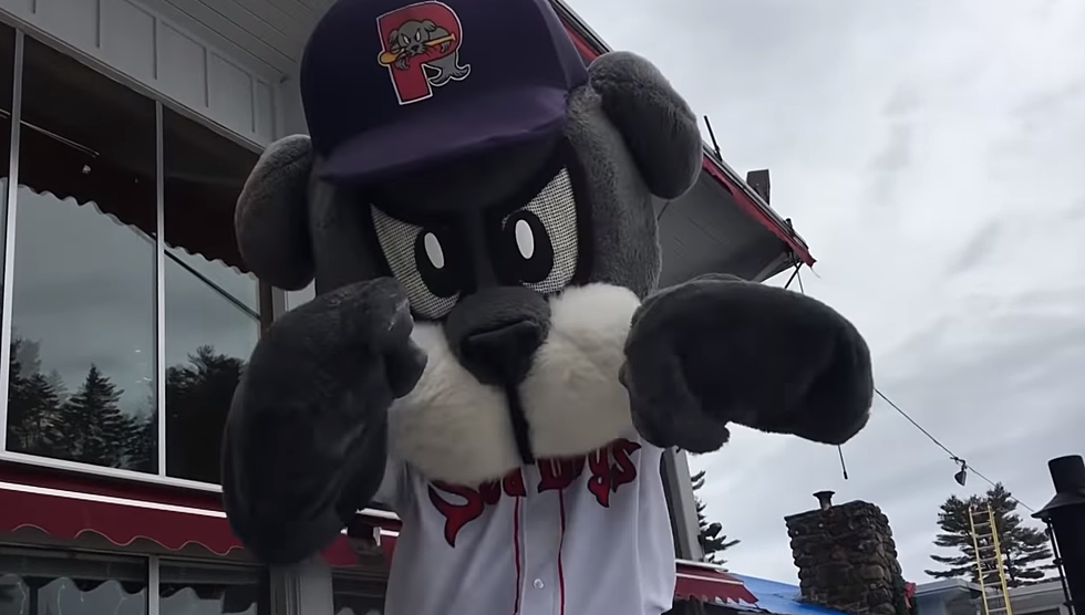 Get Portland Sea Dogs Tickets For 2020 This Saturday