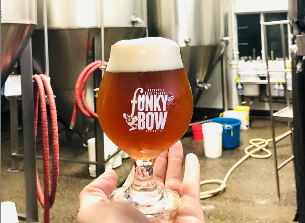 Portland On Tap Featured Brewer-Funky Bow from Lyman