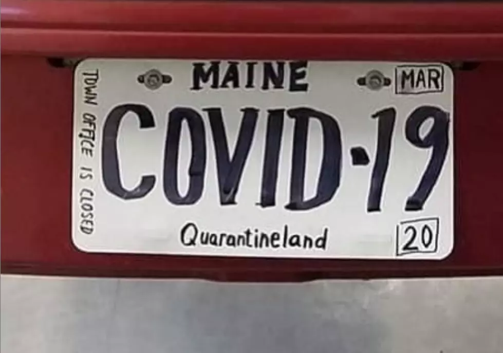 Check out These Covid 19 Maine Vanity License Plates