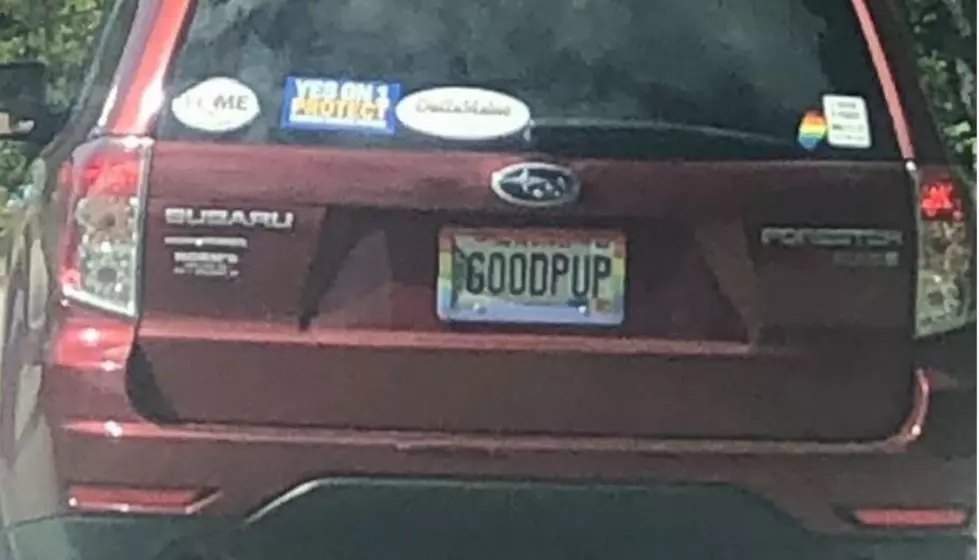We’re Keeping It Positive With These Maine Vanity Plates