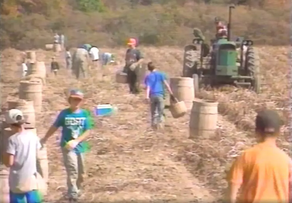Watch 90s Kids From ‘The County’ Pick Maine Potatoes On CBS TV