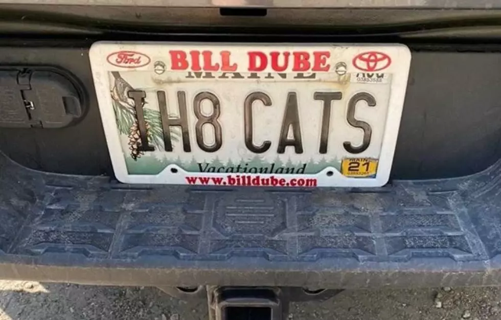 You Want Silly Maine License Plates? You Got It