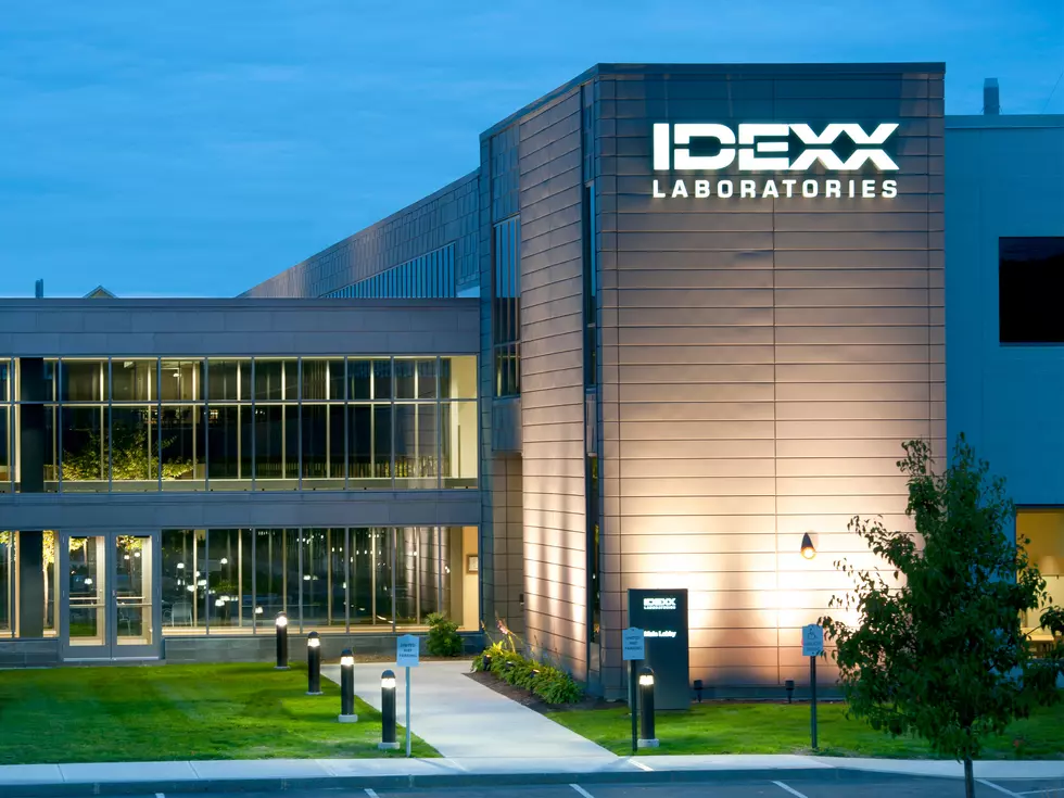 Help Make a Positive Social Impact With a Career at IDEXX