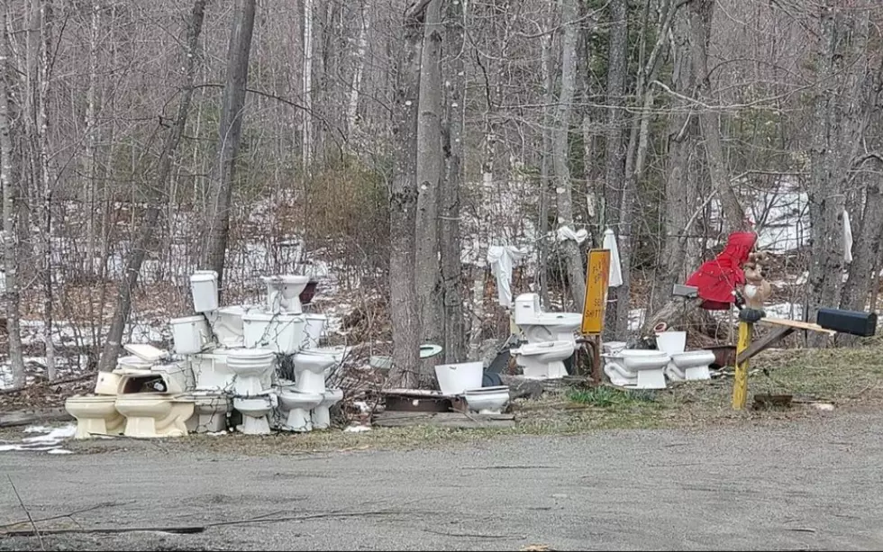 Unusual Maine Roadside Toilet Attraction Seeks Colorful Commodes