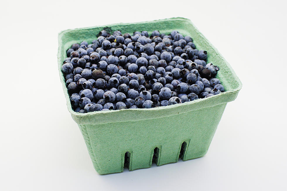 Why the Maine Wild Blueberry is King and Should Get More Respect