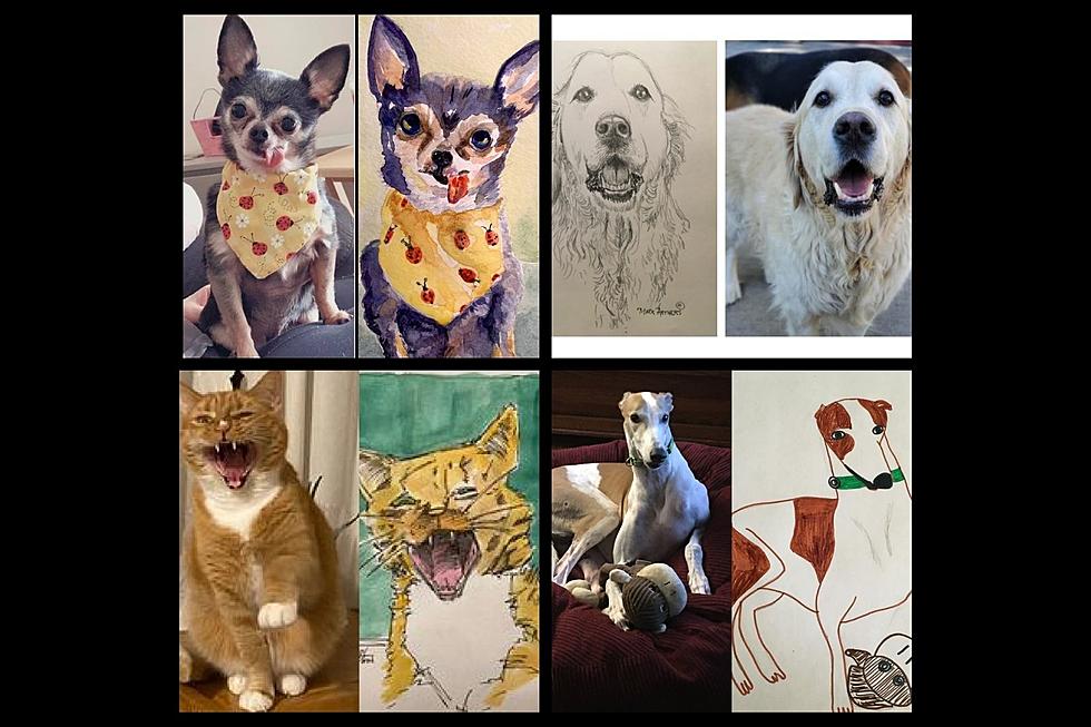 Bangor Humane Society Getting Into the Arts to Have Fun &#038; Raise Funds