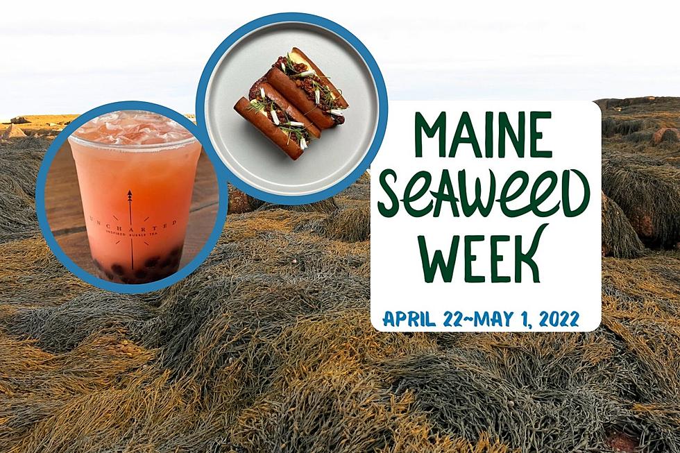 Kelp Lovers Unite: 4th Annual Maine Seaweed Week is Coming Soon